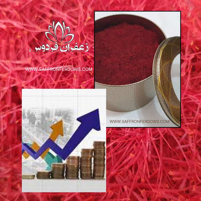 saffron price market today buy saffron and iranian saffron price